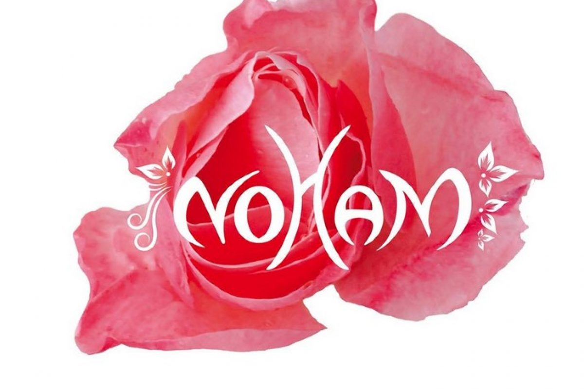 Logo Noham1